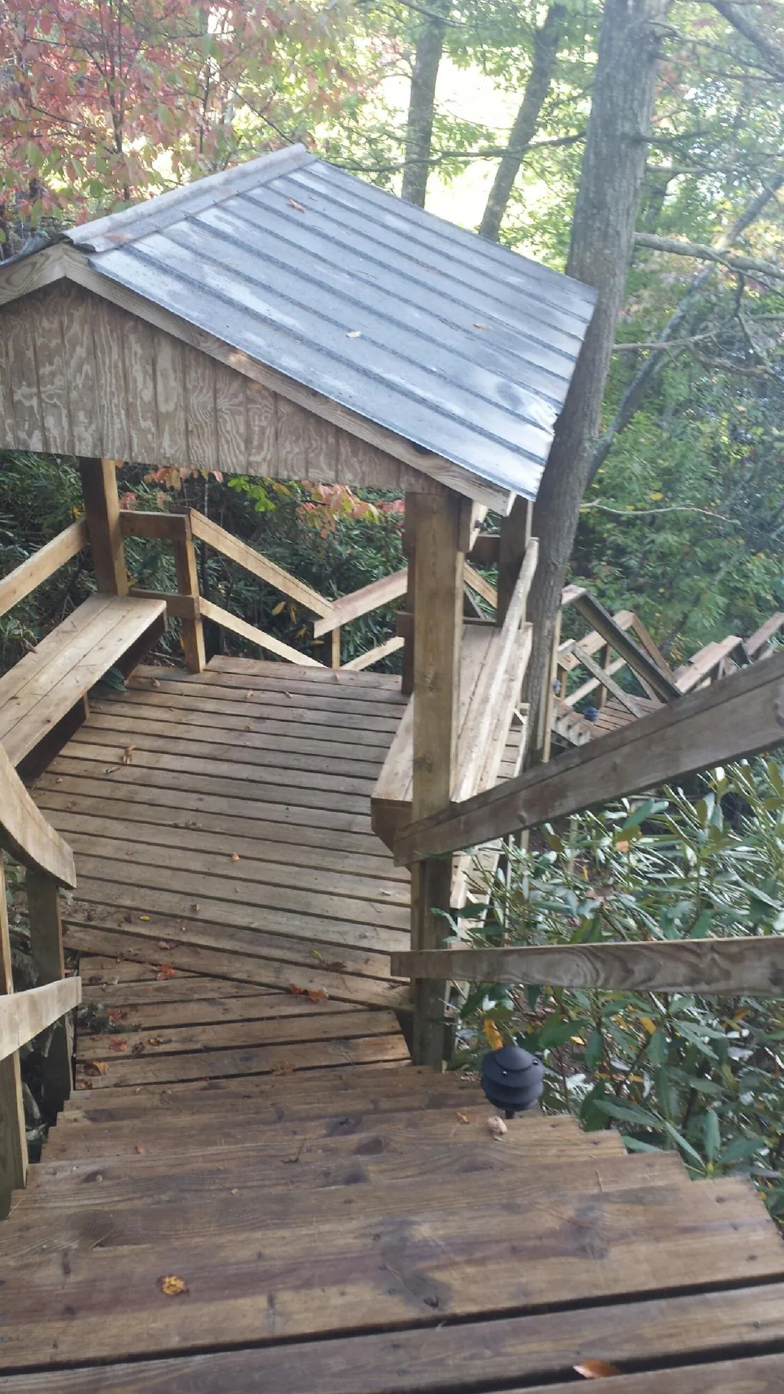 Metal roofed shelter over wooden steps on a wooded walkway — Skylight Repair & Installation work by our crew in Fruitvale