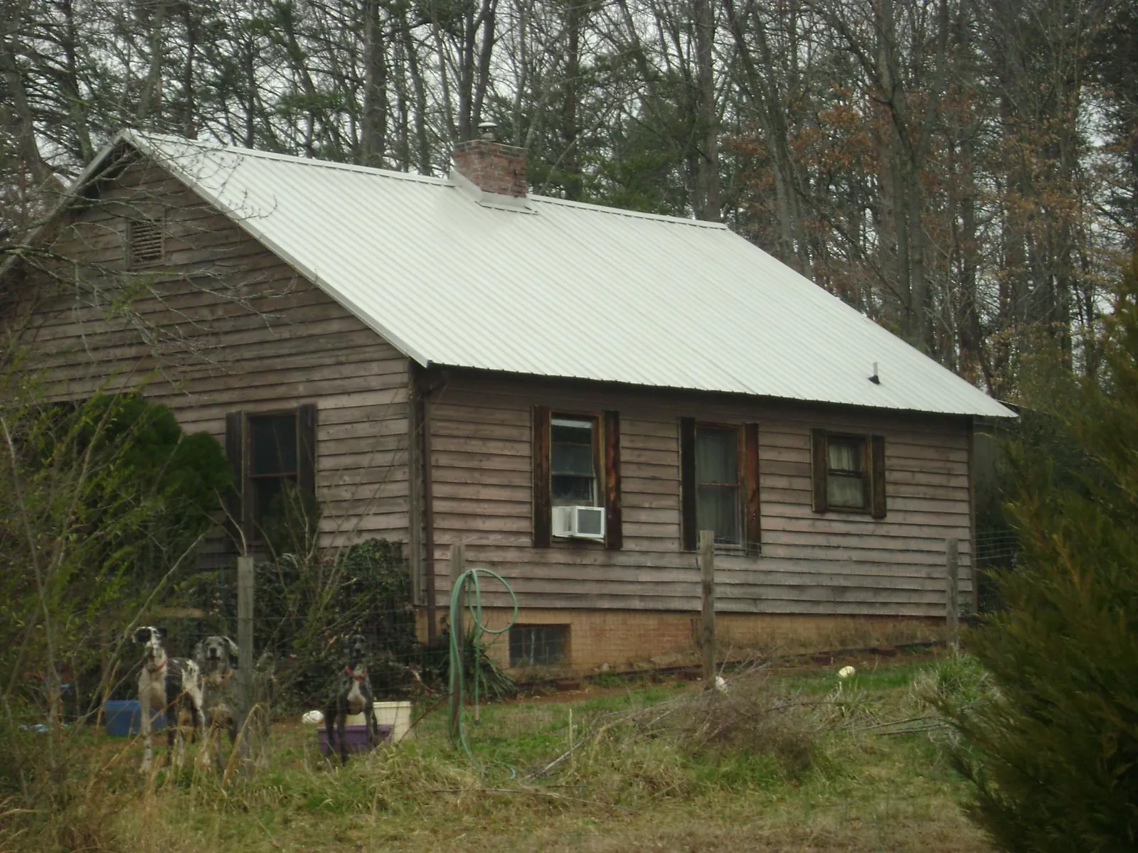 White metal roof on an old wood sided farmhouse, from a Metal Roof Installation job in Fruitvale